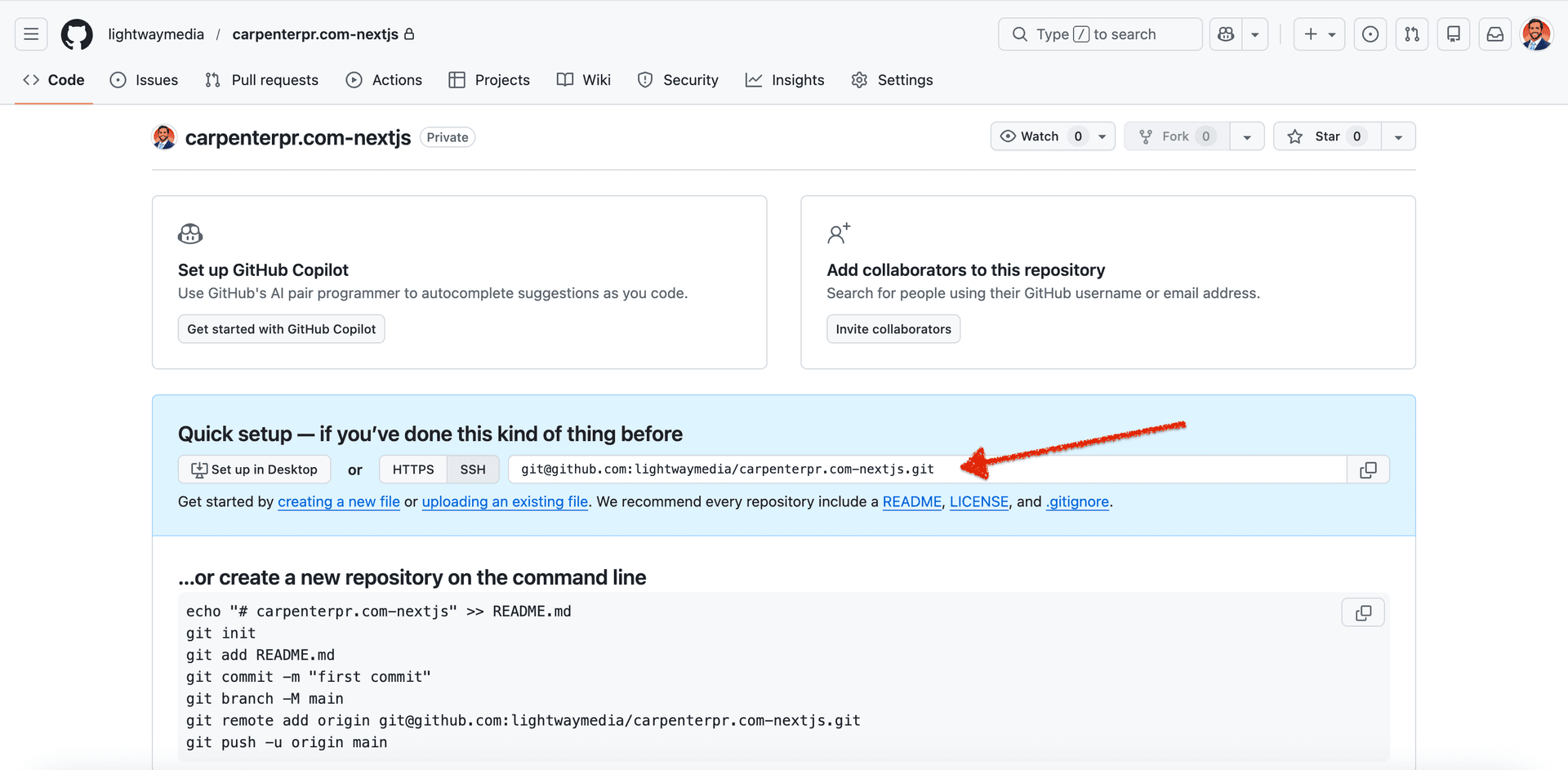 Copy the repository git URL
